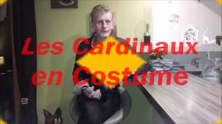 Patrick Lemel quot Les Cardinaux en Costume quot Cover Francis Cabrel [upl. by Arzed]