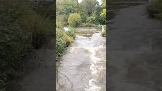 Iffley lock after heavy rain waterfall rain river nature riverthames iffleylock [upl. by Asilec546]