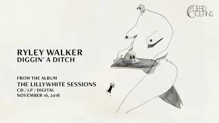 Ryley Walker  Diggin A Ditch Official Audio [upl. by Aluino]