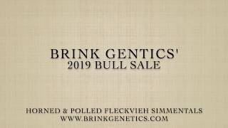 Brink Genetics 2019 Fleckvieh Simmental Bull Sale Pt 1 Lots F800F843 [upl. by Reginauld]