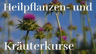 Heilpflanzen und Kräuterkurse  Brunnmatthof Heilpflanzenschule [upl. by Aitsirhc]