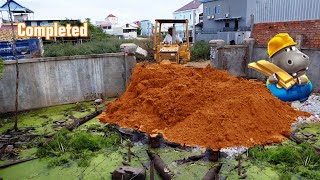 Completed project Dozer amp 5T Truck pushing soil on flooded land [upl. by Vashtee]