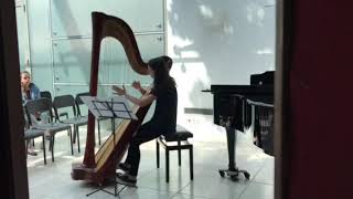 Nocturne by Alphonse Hasselmans Harp solo [upl. by Grimona176]