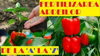 Fertilizarea ardeilor de la răsad până la recoltare🌶🌶🌶 [upl. by Anoy]