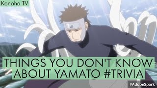 THINGS YOU DONT KNOW ABOUT YAMATO TRIVIA [upl. by Whitten]