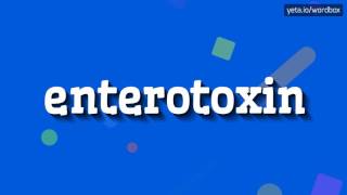 ENTEROTOXIN  HOW TO PRONOUNCE IT [upl. by Bolling310]