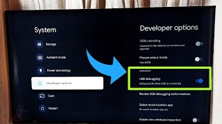 TCL Smart Google TV  How to Enable or Disable USB Debugging Mode [upl. by Engvall789]