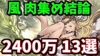 【完全版】風古戦場2400万編成肉集め編成まとめ【グラブル】 [upl. by Conrade]