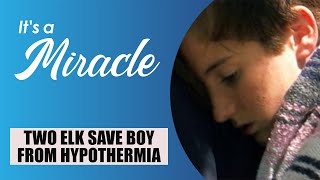 Two Elk Save Boy from Hypothermia  Its A Miracle [upl. by Idette183]