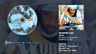 Murphy Lee feat Nelly amp P Diddy  Shake Ya Tailfeather [upl. by Kikelia]