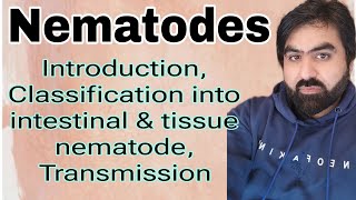 Lec23  Introduction to Nematode  Intestinal nematode  Tissue neamtode  Transmission  UrduHindi [upl. by Jeffy]