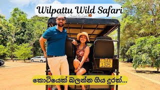 Wilpattu Wild Safari  Sri Lankan Leopard  Wilpattu National Park  Safari  Around Sri Lanka 🇱🇰 [upl. by Neyugn197]