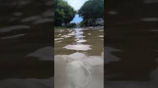 La calle se volvió un río lluvia clima calles [upl. by Aihsiek]