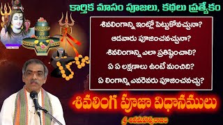 Sivalinga Pooja Vidanamu  శివలింగ పూజా విధానములు  By BrahmaSri Vaddiparti Padmakar Garu [upl. by Audri]