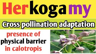 Herkogamy in plants  Herkogamy in calotropis  physical barrier  Herkogamy pollination [upl. by Publus]