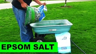 Using Milorganite to Apply Epsom Salt to your lawn [upl. by Flita]