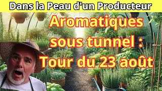 Visite du tunnel des aromatiques  Basilic thym romarin et plus le 23 août [upl. by Bolen]