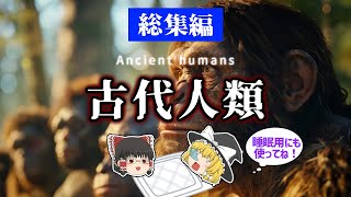 【睡眠用・ゆっくり解説】古代人類 ホモ・サピエンスネアンデルタール人アウストラロピテクスなど【途中広告なし】 [upl. by Mirella983]