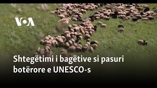 Shtegëtimi i bagëtive si pasuri botërore e UNESCOs [upl. by Bethel]