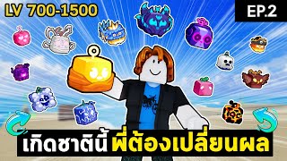 เกิดชาตินี้ พี่ต้องเปลี่ยนผล EP2 7001500   Roblox Bloxfruits [upl. by Myrwyn]