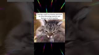 The Ultimate ASMR Experience ✨ energyhealing spirituality nde cutecats [upl. by Uela]