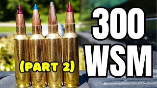 300 WSM Ammo Test Part 2 Savage 110 Trail Hunter [upl. by Nels]