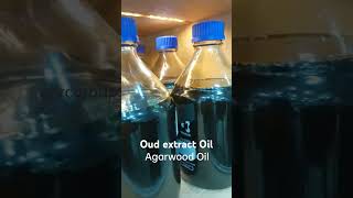 Pure Agarwood Oud Extract oil indonesian indian Cambodian Trat Malaysian Oud agarwood aprc [upl. by Neelrac]