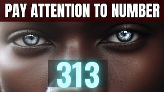 Why Youre Seeing 313  Angel Number 313 Meaning Love  Twin Flame Bible Verse [upl. by Hgiellek]