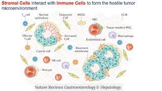 Deciphering ImmunoOncology Targeting Cellular Mechanisms of the Tumor Immune Response [upl. by Sulecram379]