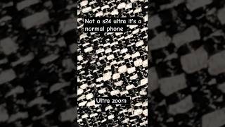 It is a normal phone zoom who is a s24 ultra zoomerror zoomapps zoomtips [upl. by Leahcym159]