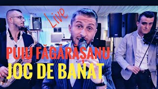 Puiu Fagarasanu❎Joc de Banat💯Live 2024 [upl. by Aisya163]