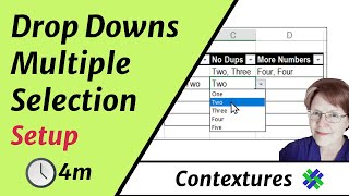 Data Validation Multiple Selection Setup [upl. by Heurlin]