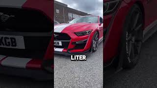 REMAPPED 50 STRAIGHT PIPED MUSTANG IS INSANE [upl. by Aneehsat]