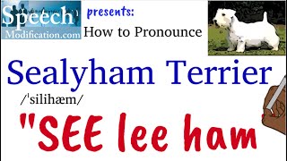 How to Pronounce Sealyham Terrier [upl. by Aneekan]