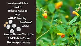 Making Jewelweed Salve Part 3 of Jewelweed Series [upl. by Kcyrred349]