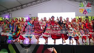 Flor de Piña Oaxaca  Mexican Folk Dance [upl. by Teilo]