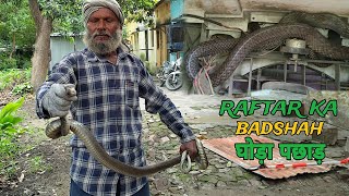 non venomous snake rescue in india dangerous snake in the world MurliwaleHausla [upl. by Anaela]