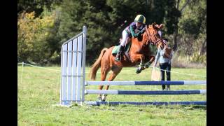 Waimea College Equestrian Interschools 2014 [upl. by Ailices754]