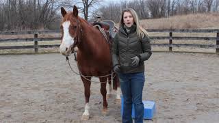 Horseback Riding for Beginners  Mounting and Dismounting your horse [upl. by Peti592]