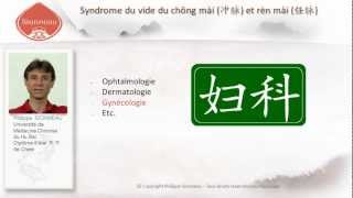 Cours en ligne de Philippe Sionneau en médecine chinoise et en acupuncture [upl. by Brittany701]