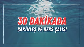 30 DAKİKALIK DERS ÇALIŞMA ZAMANLAYICISI  SAKİNLEŞ VE ÇALIŞMAYA BAŞLA motivasyon zamanlayıcı [upl. by Wardlaw744]