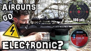 Daystate Pulsar HP 25 Air Rifle  Accuracy TEST  50 amp 100 Yards  FULL REVIEW  Regulated PCP [upl. by Ecirtam]