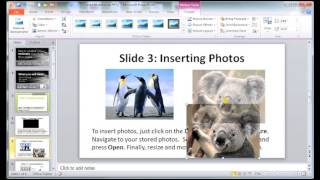 How to Create a Multimedia PowerPoint Presentation [upl. by Katrina]