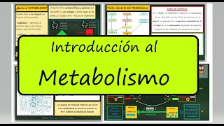 METABOLISMO Anabolismo y Catabolismo Enzimas Autótrofos y Heterótrofos Biología Bachillerato [upl. by Odnomar]