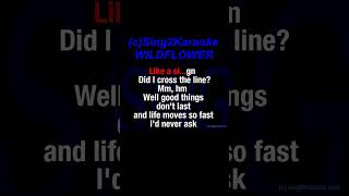 Billie Eilish WILDFLOWER Karaoke Version Lyrics [upl. by Neill]