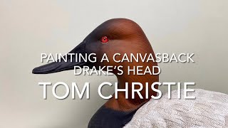 Painting a Canvasback Drake’s Head [upl. by Ettenor]