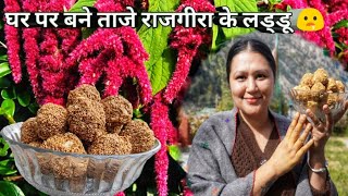 Amaranth Season Rajgira Homemade Laddu Recipe Kinnaur HP [upl. by Nodearb934]