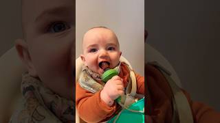 👶🏻🫐 babyledfeeding baby developmentalmilestones infant shorts short youtubeshorts cute [upl. by Ahsenyl285]