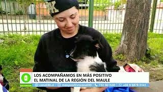 MÁS POSITIVO  CAMPAÑA DE ESTERILIZACIÓN EN SAN JAVIER [upl. by Anay]