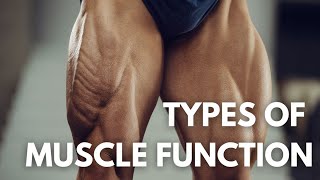 Type of muscles contraction with practical examples [upl. by Zrike]